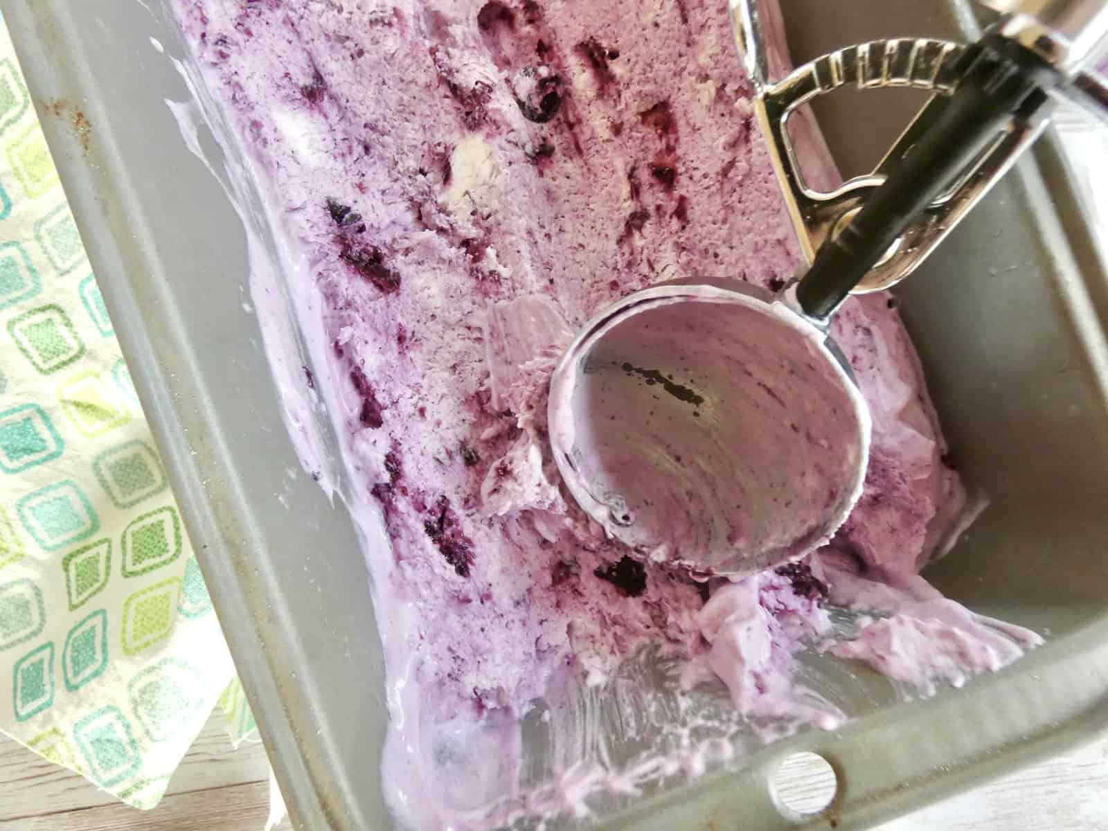 No-Churn Blueberry Frozen Yogurt