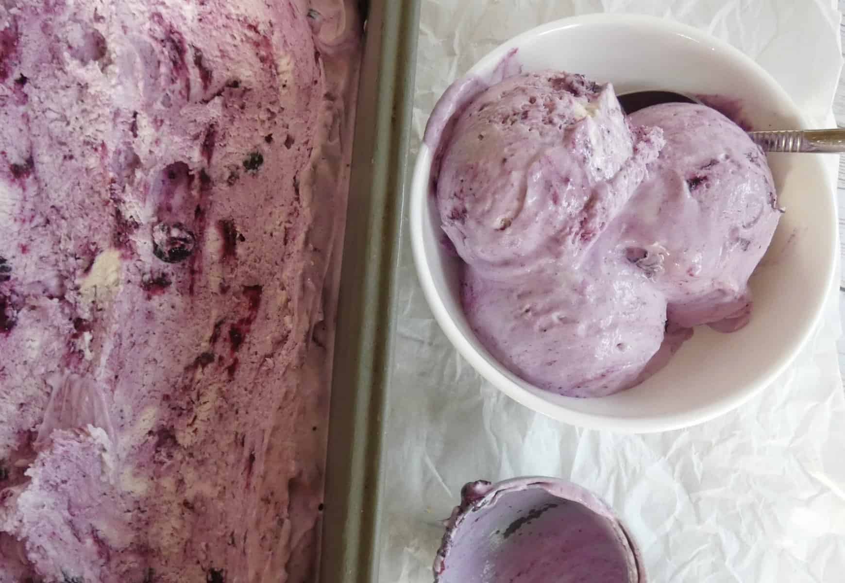 No-Churn Blueberry Frozen Yogurt