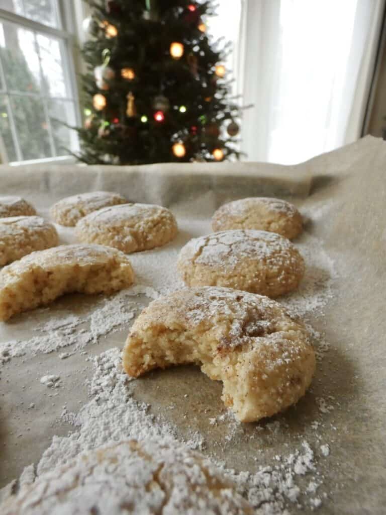 snickerdoodle amaretti cookies with christmas tree