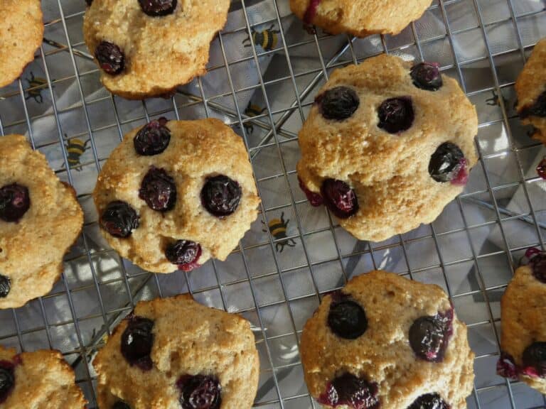 top down of healthy blueberry muffin tops