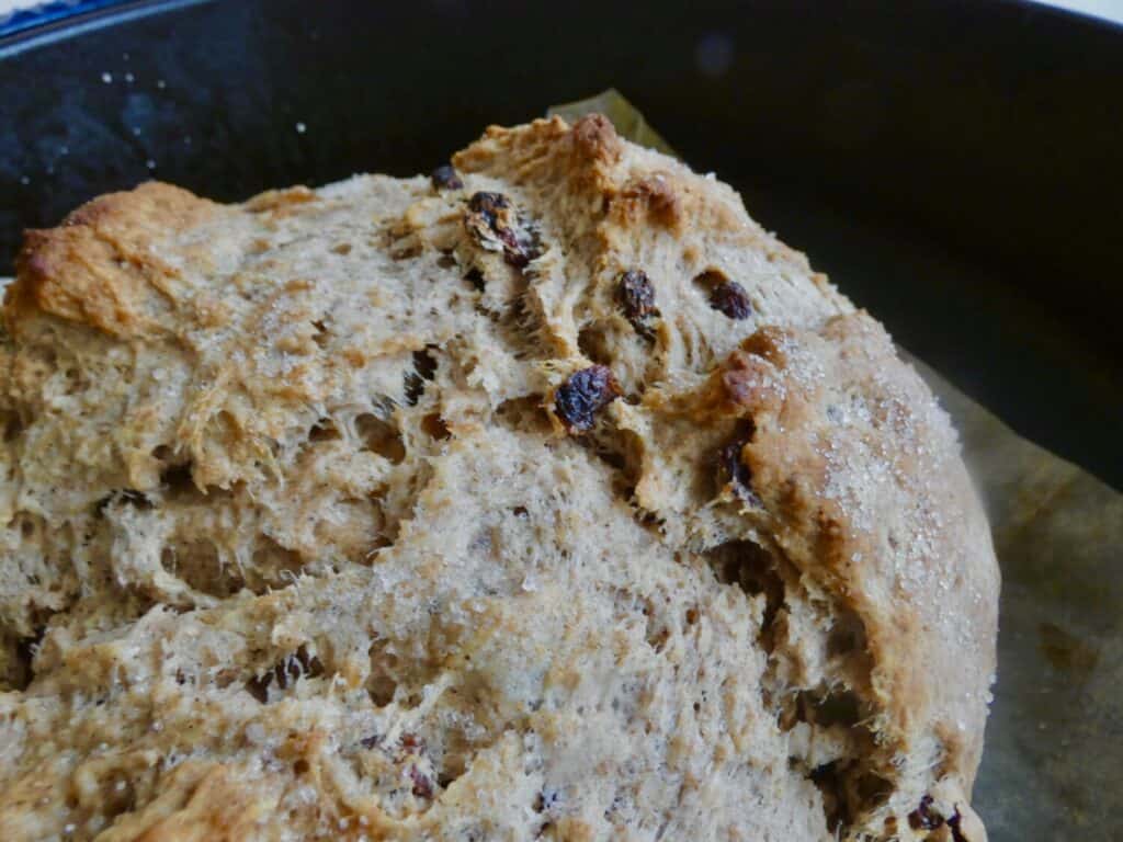 Small Batch Irish Soda Bread in dutch oven