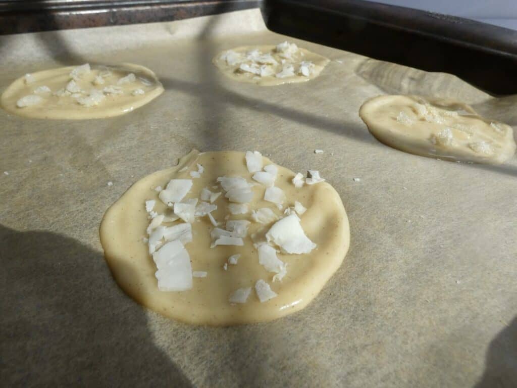 circle of simple french tuile batter with coconut flakes