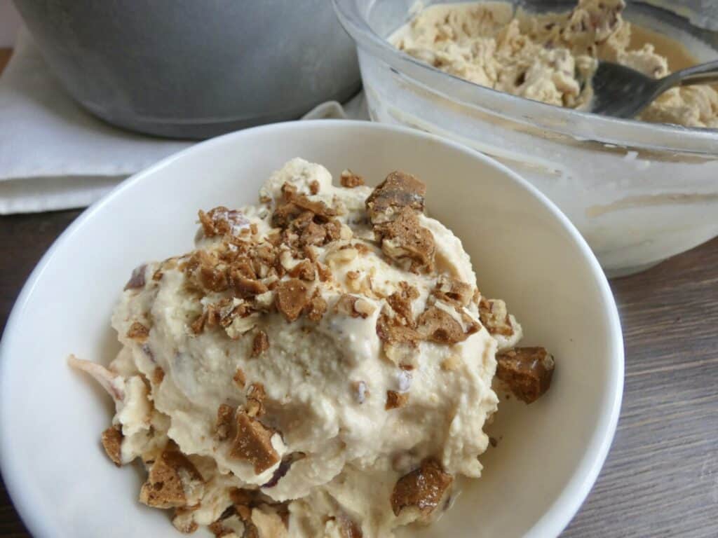 bowl of Maple Bacon Pecan Crunch Ice Cream with maple pecan brittle topping