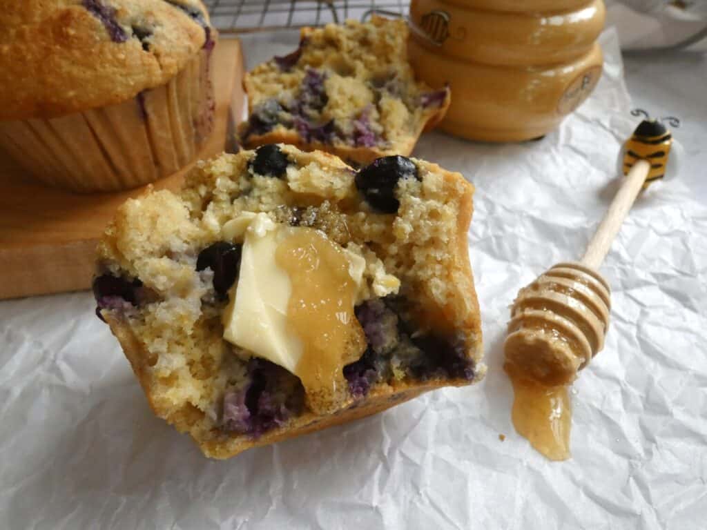 blueberry cornbread muffin with slice of butter and honey