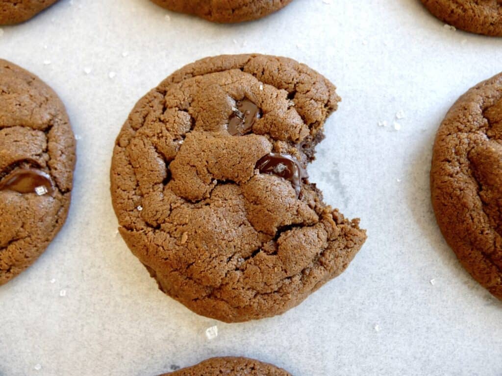 secret ingredient fudgy double chocolate cookies made without shredded coconut